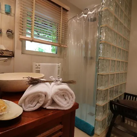 Luxueux Mazet Apartment