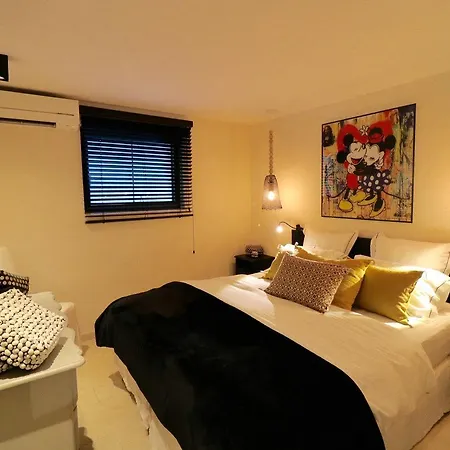 Apartment Luxueux Mazet *