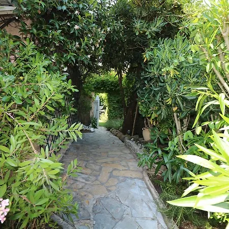 Luxueux Mazet *
